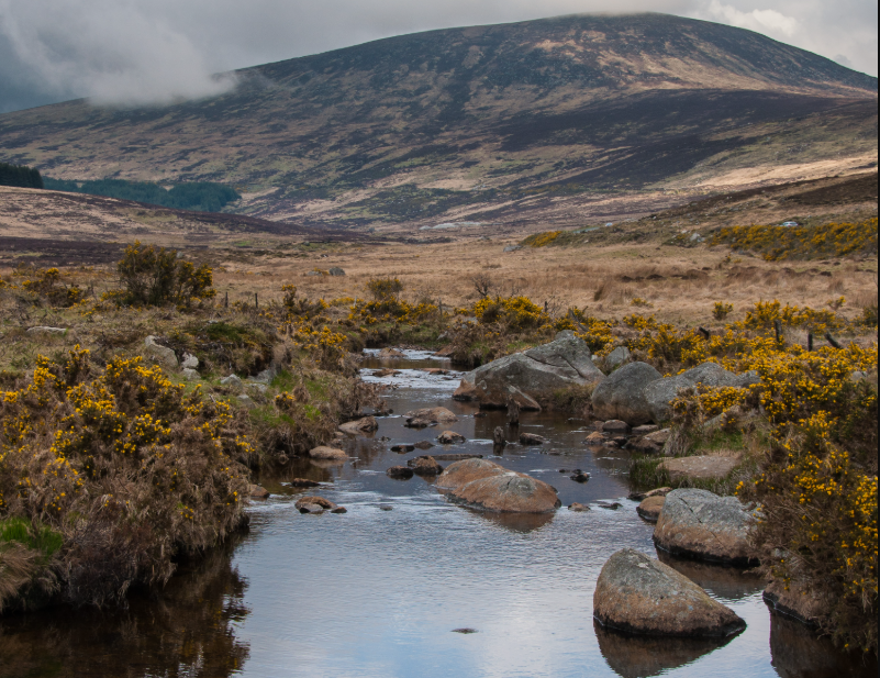 Wicklow Mountains National Park, County Wicklow, Ireland